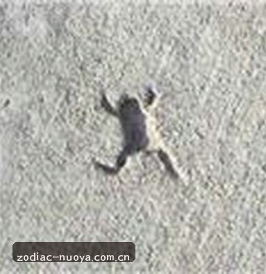 吴婷